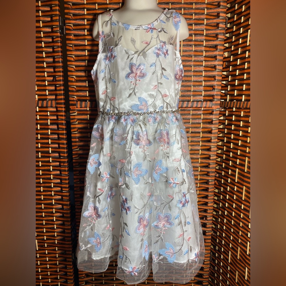 Rare Editions Girls Size 10 Floral Embroidered Tulle Dress Pink Blue